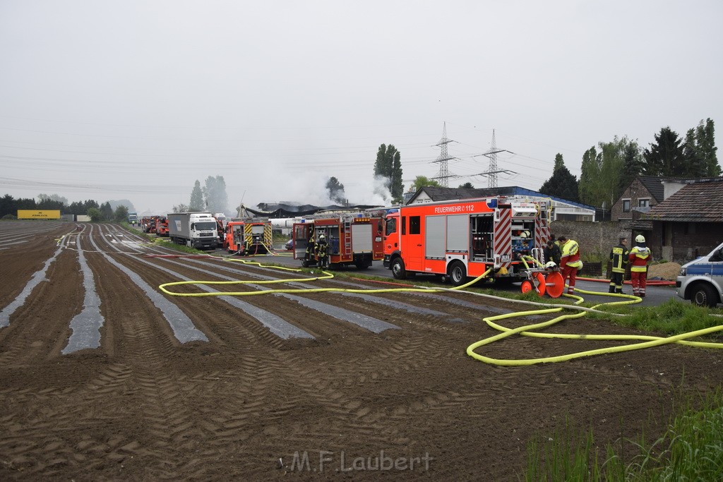 Feuer 3 Rheinkassel Feldkasseler Weg P1589.JPG - Miklos Laubert